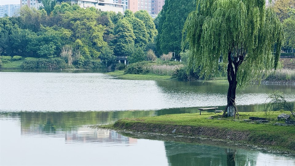 春天你慢点走,你孕育的画意诗情我还未看够。
留些时光,让我把这满眼的诗意,酿成往后日子里回甘的念头。
投稿:忘烦泥